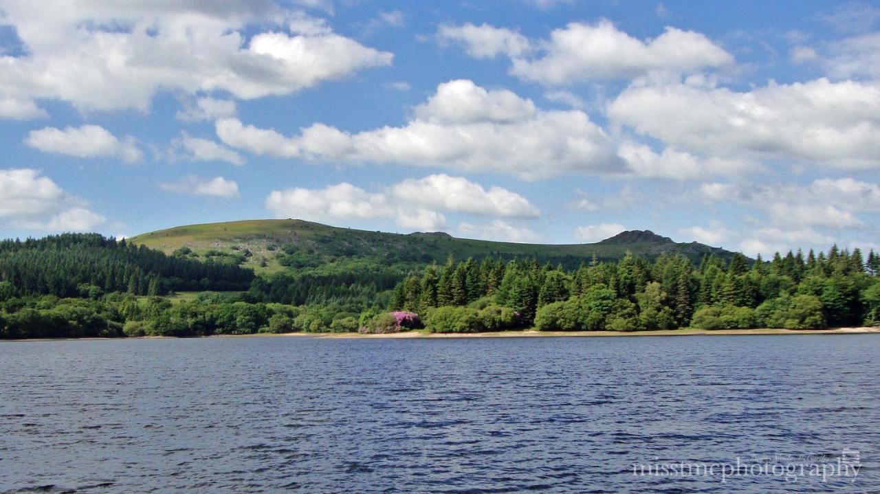 Dartmoor Reach Alpaca Farm Heated Cabins 5 Mins Drive To Dartmoor Bovey Tracey Exteriör bild