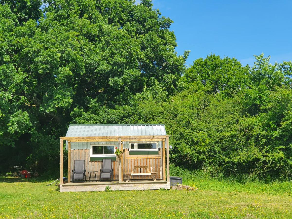 Dartmoor Reach Alpaca Farm Heated Cabins 5 Mins Drive To Dartmoor Bovey Tracey Exteriör bild