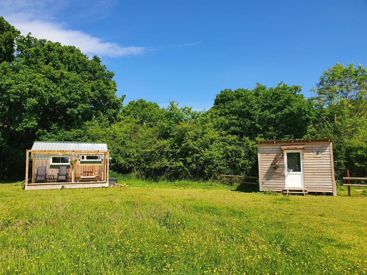 Dartmoor Reach Alpaca Farm Heated Cabins 5 Mins Drive To Dartmoor Bovey Tracey Exteriör bild