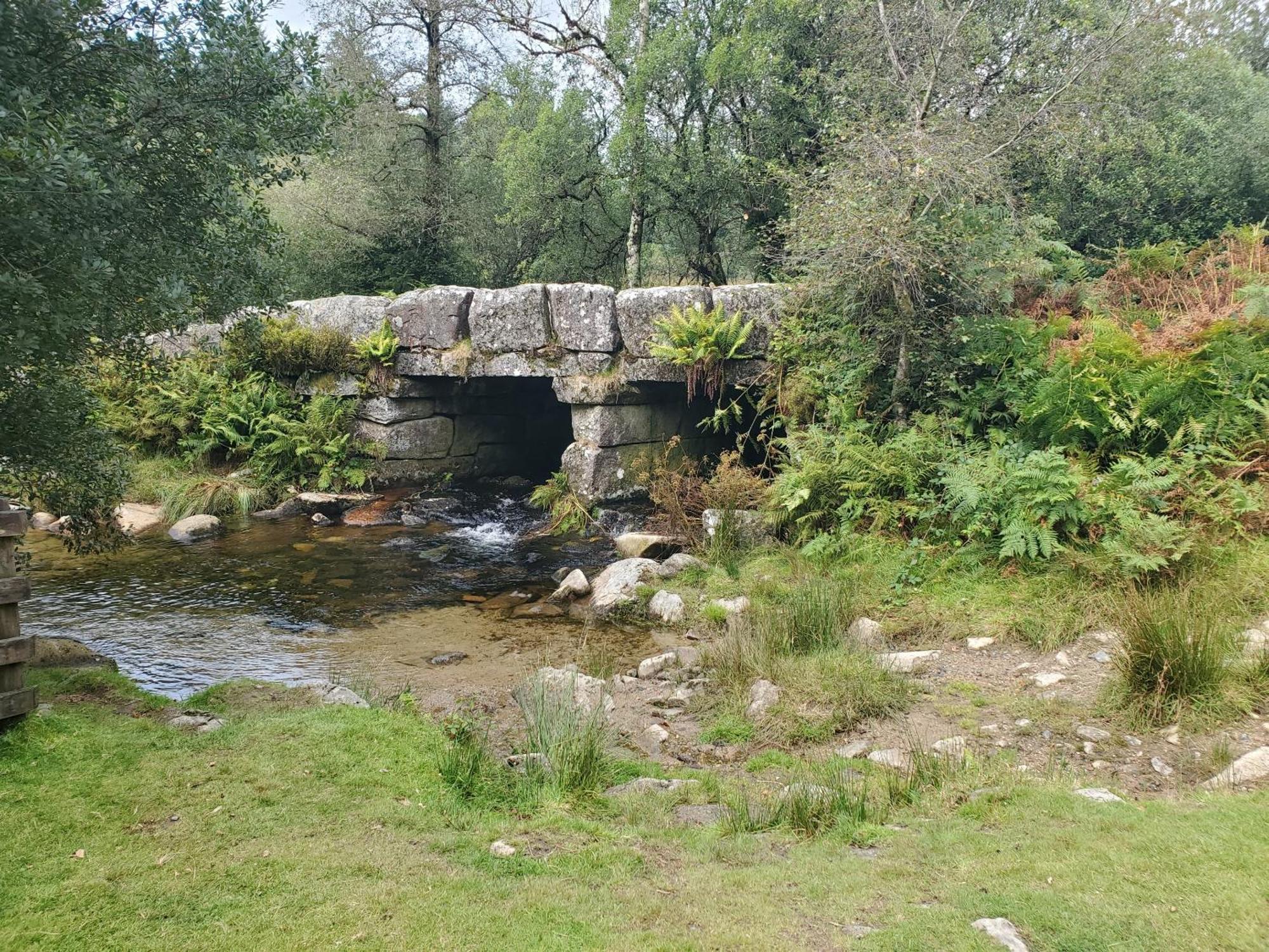 Dartmoor Reach Alpaca Farm Heated Cabins 5 Mins Drive To Dartmoor Bovey Tracey Exteriör bild